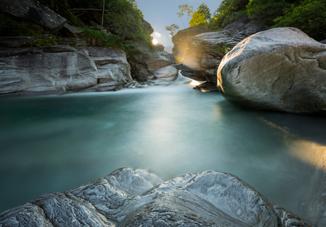 Frühlings- und Saisonbeginn in der Sonnenstube